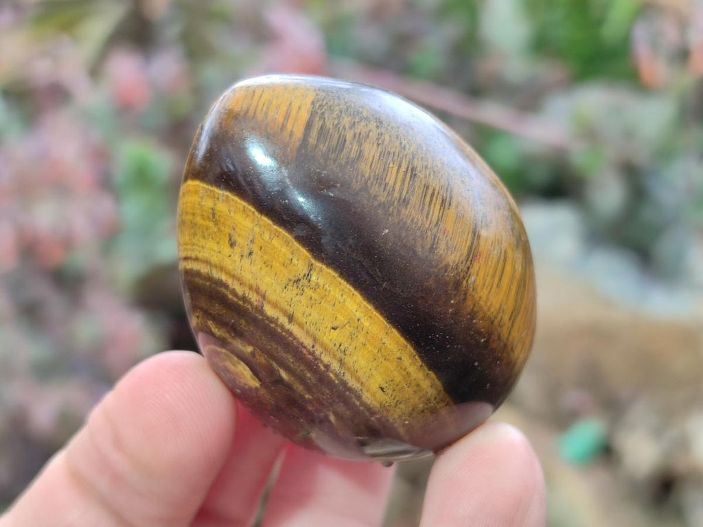 Polished Golden Tigers Eye Free Forms x 35 From Prieska, South Africa