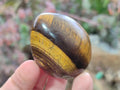 Polished Golden Tigers Eye Free Forms x 35 From Prieska, South Africa