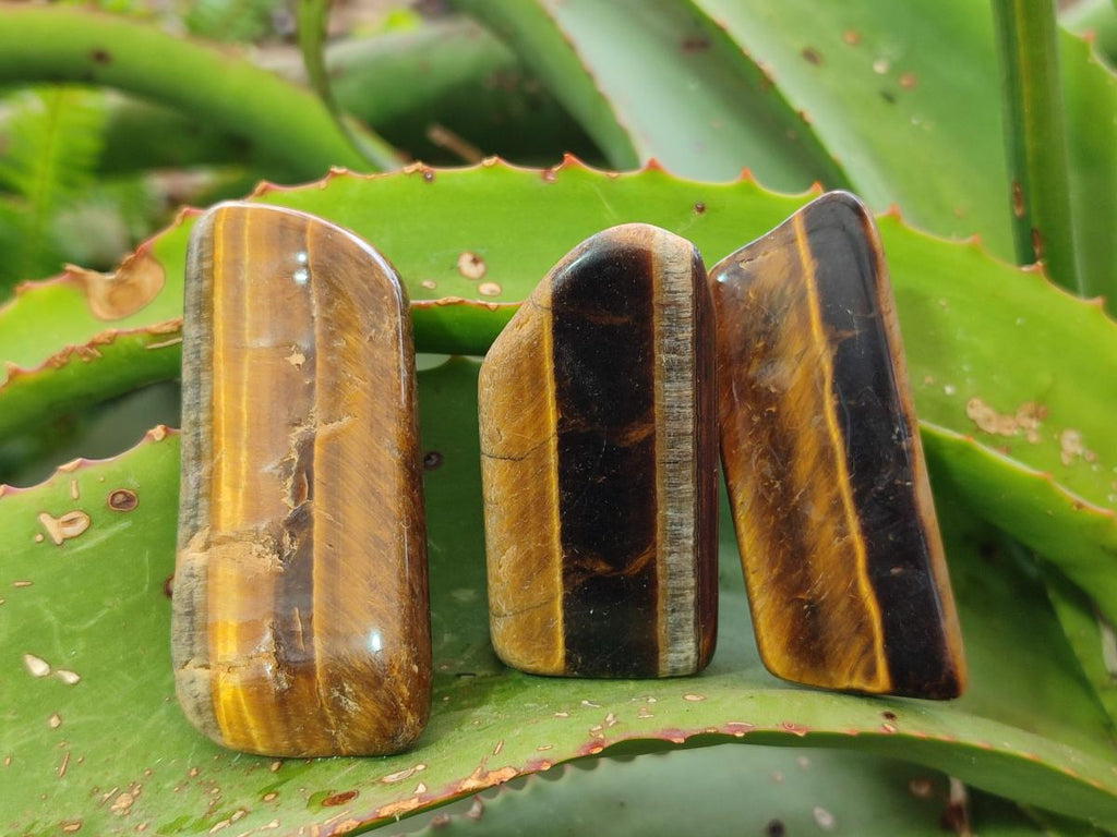 Polished Golden Tigers Eye Free Forms x 35 From Prieska, South Africa