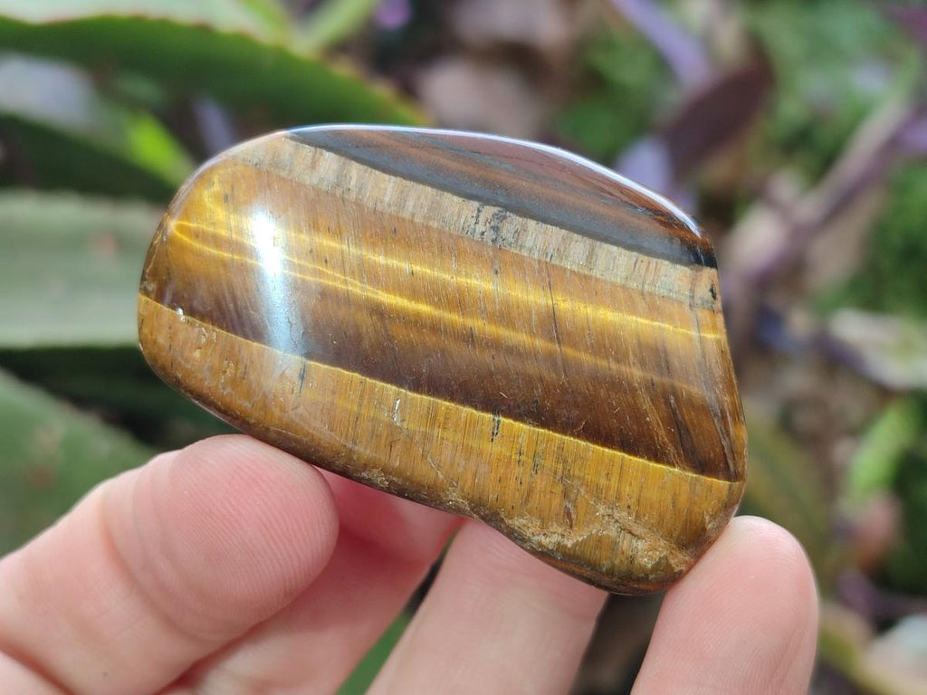 Polished Golden Tigers Eye Free Forms x 35 From Prieska, South Africa
