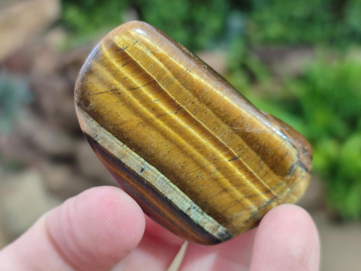 Polished Golden Tigers Eye Free Forms x 35 From Prieska, South Africa