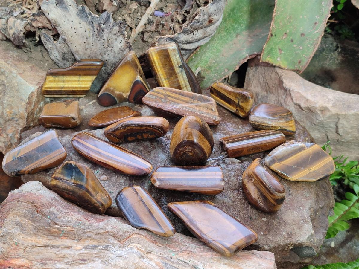 Polished Golden Tigers Eye Free Forms x 35 From Prieska, South Africa