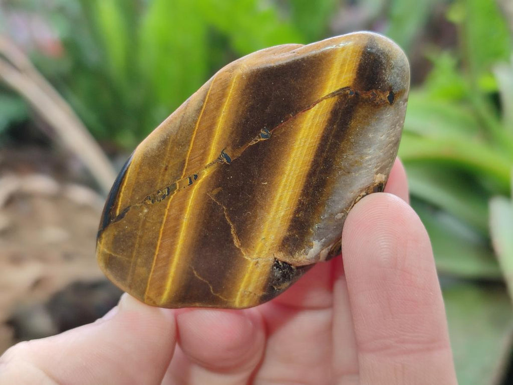 Polished Golden Tigers Eye Free Forms x 35 From Prieska, South Africa