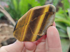 Polished Golden Tigers Eye Free Forms x 35 From Prieska, South Africa
