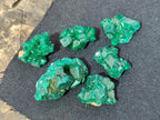 Natural Mini Dioptase Specimens on Dolomite Matrix x 70 From Tantara Mine, Congo