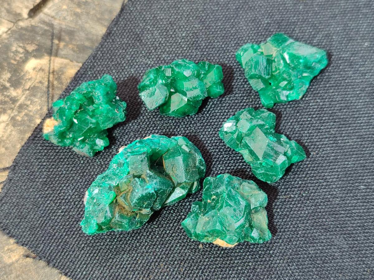 Natural Mini Dioptase Specimens on Dolomite Matrix x 70 From Tantara Mine, Congo