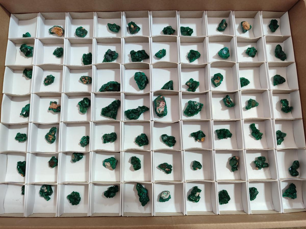 Natural Mini Dioptase Specimens on Dolomite Matrix x 70 From Tantara Mine, Congo