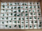 Natural Mini Dioptase Specimens on Dolomite Matrix x 70 From Tantara Mine, Congo