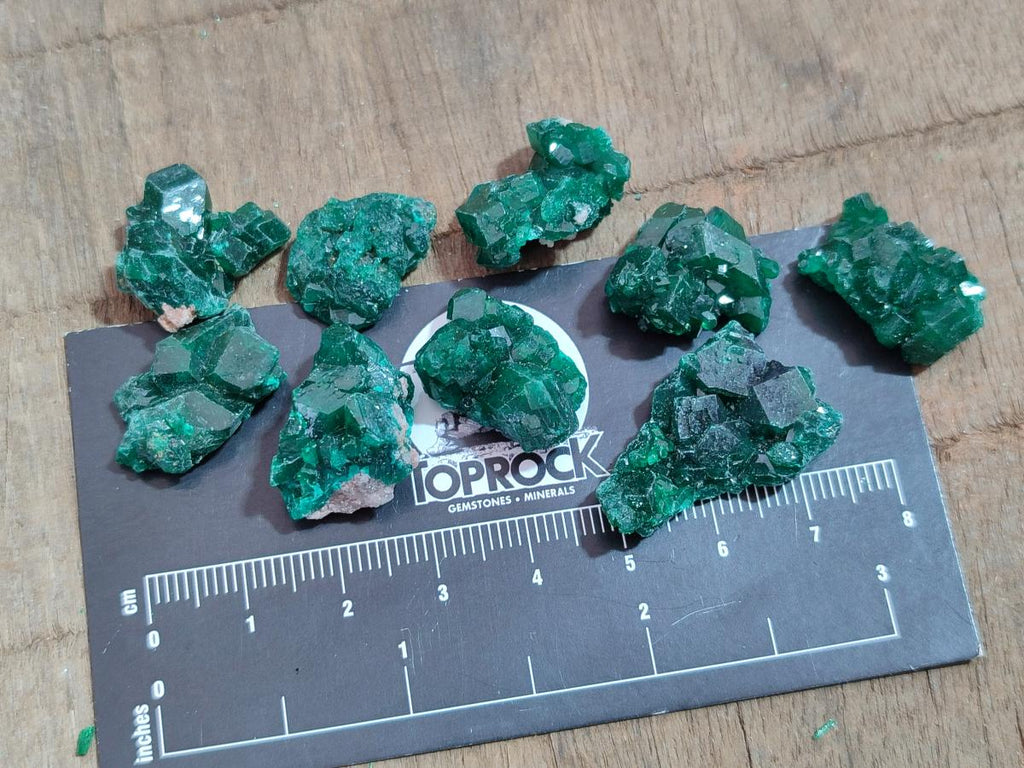 Natural Mini Dioptase Specimens on Dolomite Matrix x 70 From Tantara Mine, Congo