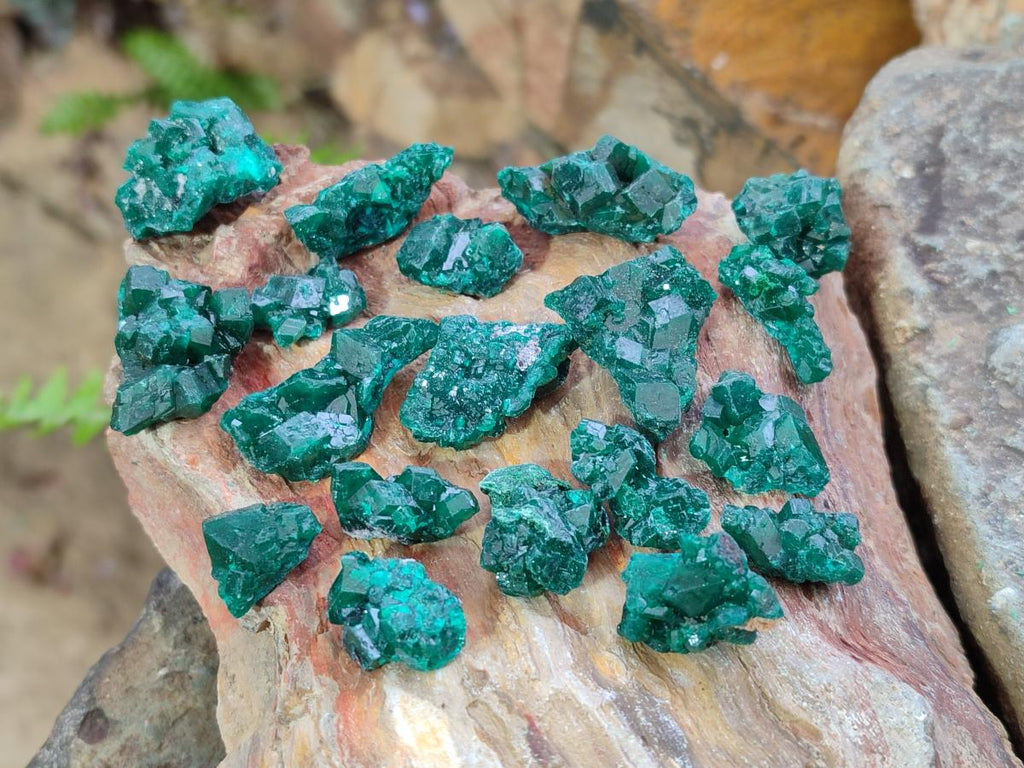 Natural Mini Dioptase Specimens on Dolomite Matrix x 70 From Tantara Mine, Congo