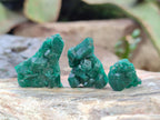 Natural Mini Dioptase Specimens on Dolomite Matrix x 70 From Tantara Mine, Congo
