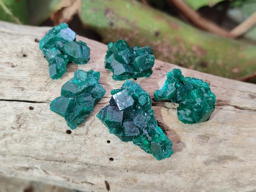 Natural Mini Dioptase Specimens on Dolomite Matrix x 70 From Tantara Mine, Congo