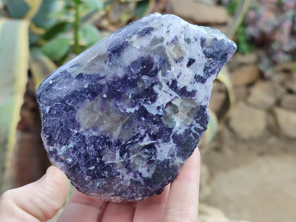 Polished One Side Lithium Silver Leaf Lepidolite Specimens x 6 From Zimbabwe