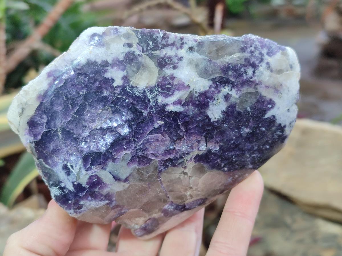Polished One Side Lithium Silver Leaf Lepidolite Specimens x 6 From Zimbabwe