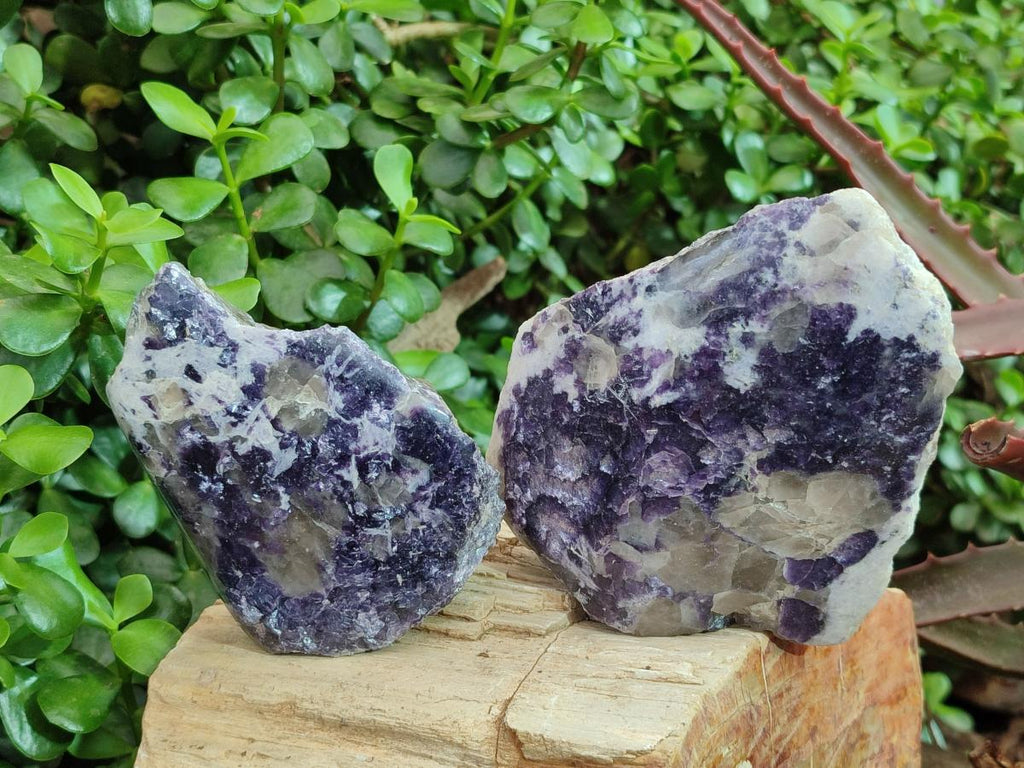 Polished One Side Lithium Silver Leaf Lepidolite Specimens x 6 From Zimbabwe