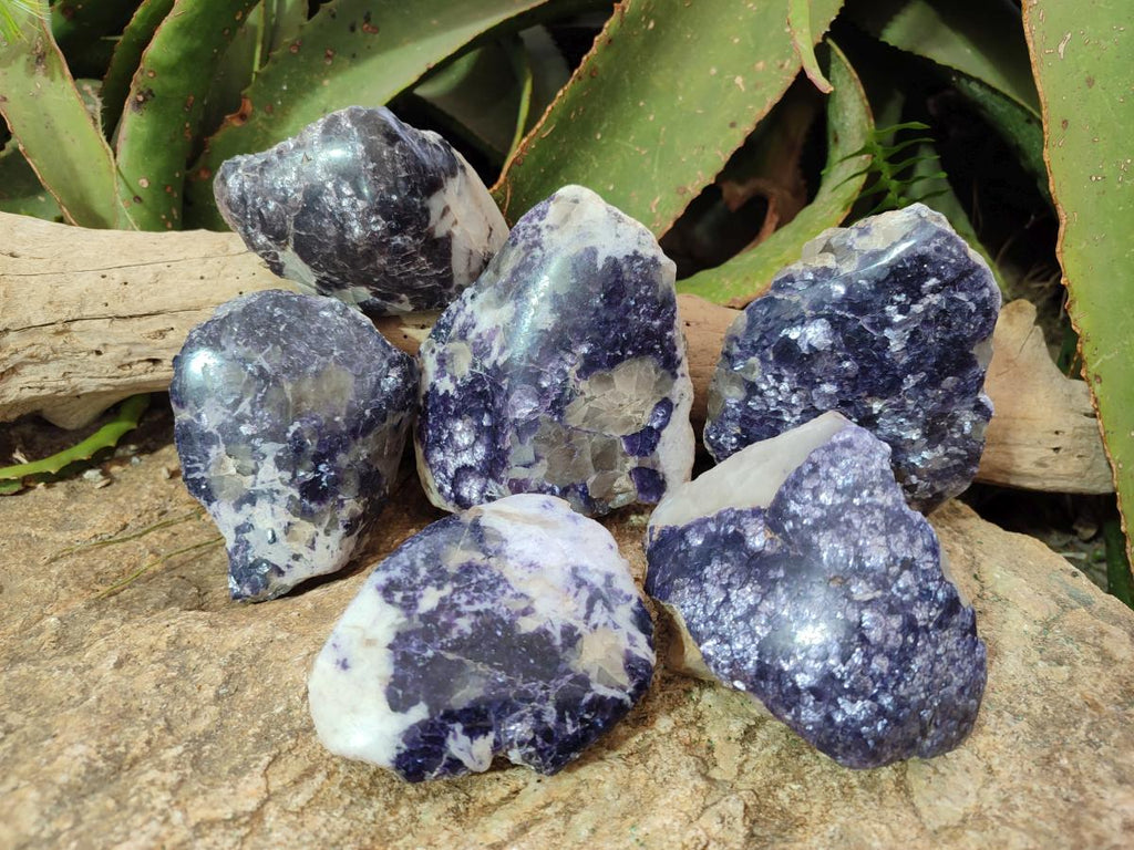 Polished One Side Lithium Silver Leaf Lepidolite Specimens x 6 From Zimbabwe