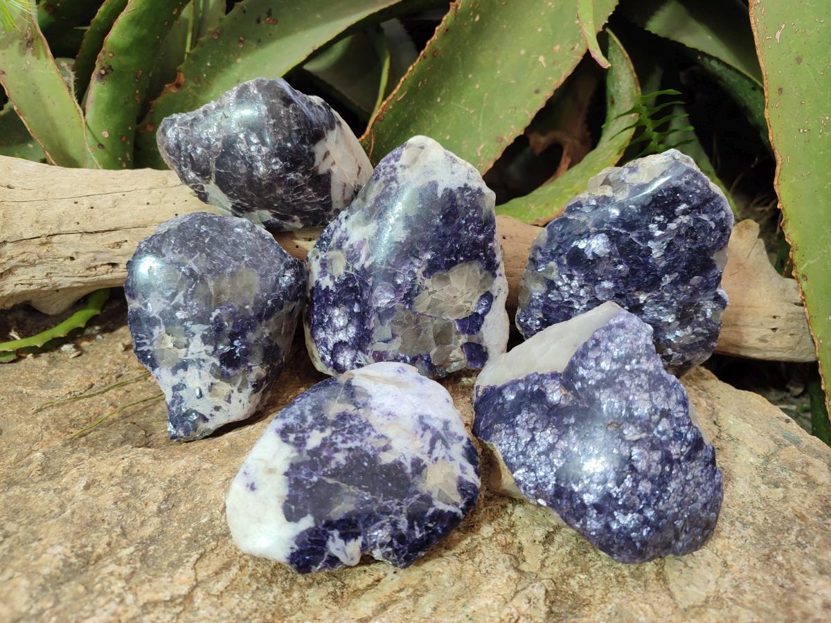 Polished One Side Lithium Silver Leaf Lepidolite Specimens x 6 From Zimbabwe