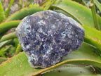 Polished One Side Lithium Silver Leaf Lepidolite Specimens x 6 From Zimbabwe