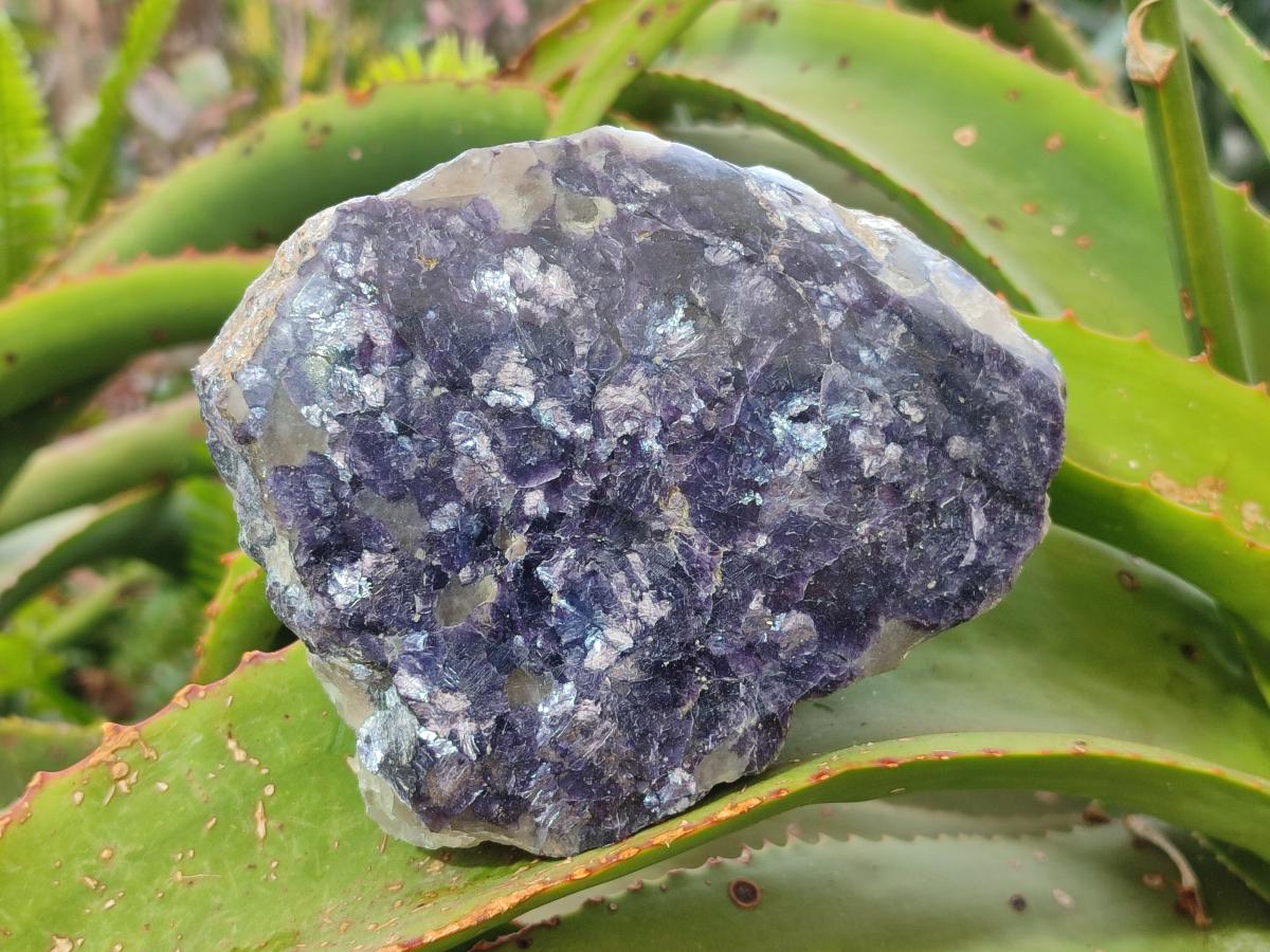 Polished One Side Lithium Silver Leaf Lepidolite Specimens x 6 From Zimbabwe