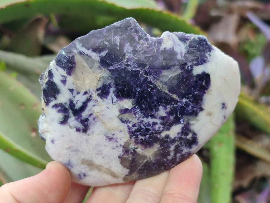 Polished One Side Lithium Silver Leaf Lepidolite Specimens x 6 From Zimbabwe
