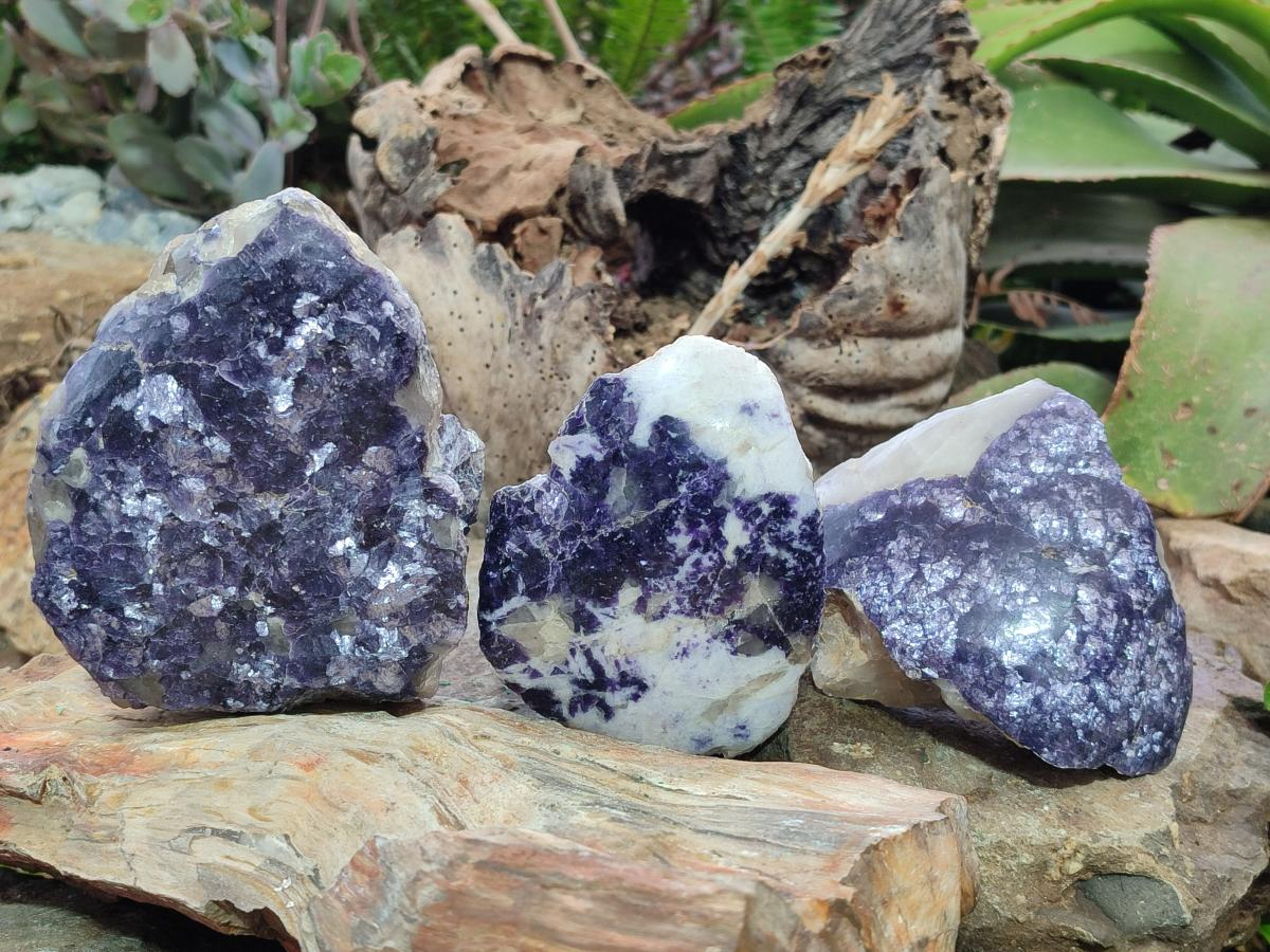 Polished One Side Lithium Silver Leaf Lepidolite Specimens x 6 From Zimbabwe