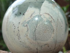 Polished Mix of Multi Mineral Spheres x 2 From South Africa