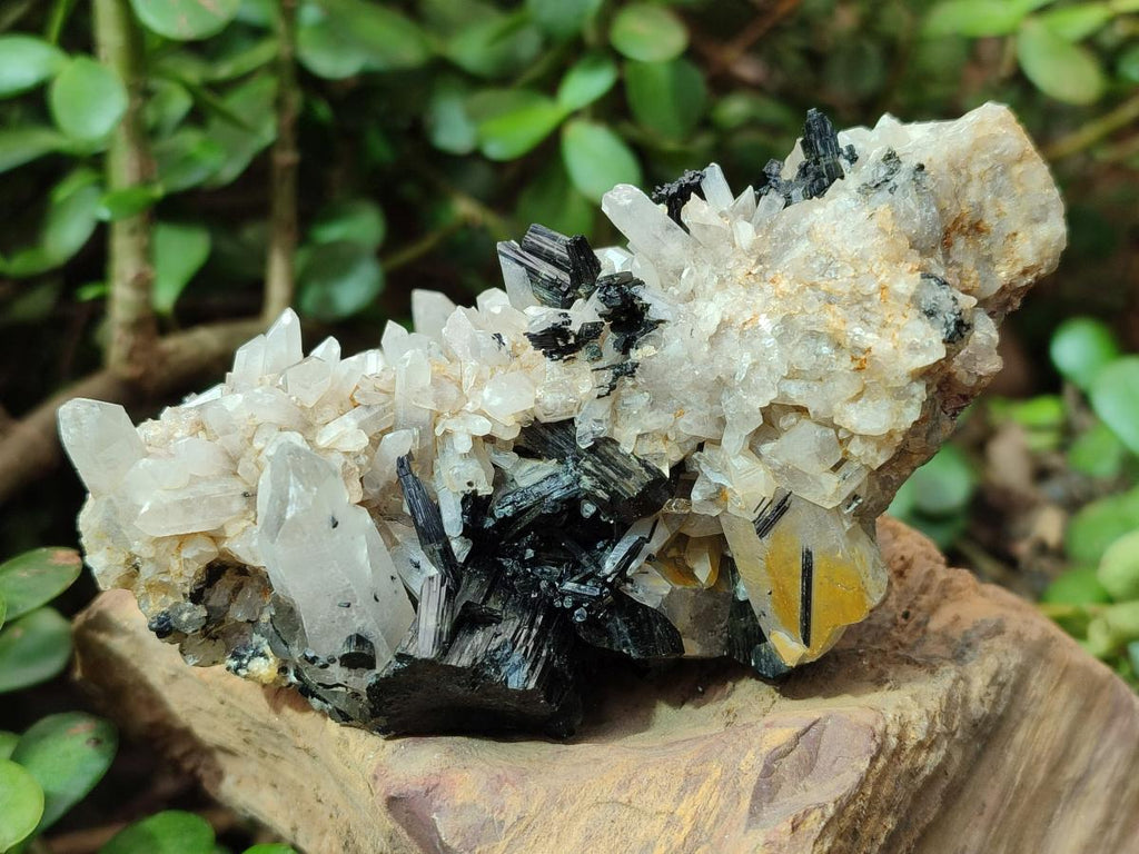 Natural Schorl Black Tourmaline with Associated Minerals x 8 From Erongo, Namibia