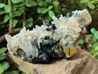 Natural Schorl Black Tourmaline with Associated Minerals x 8 From Erongo, Namibia