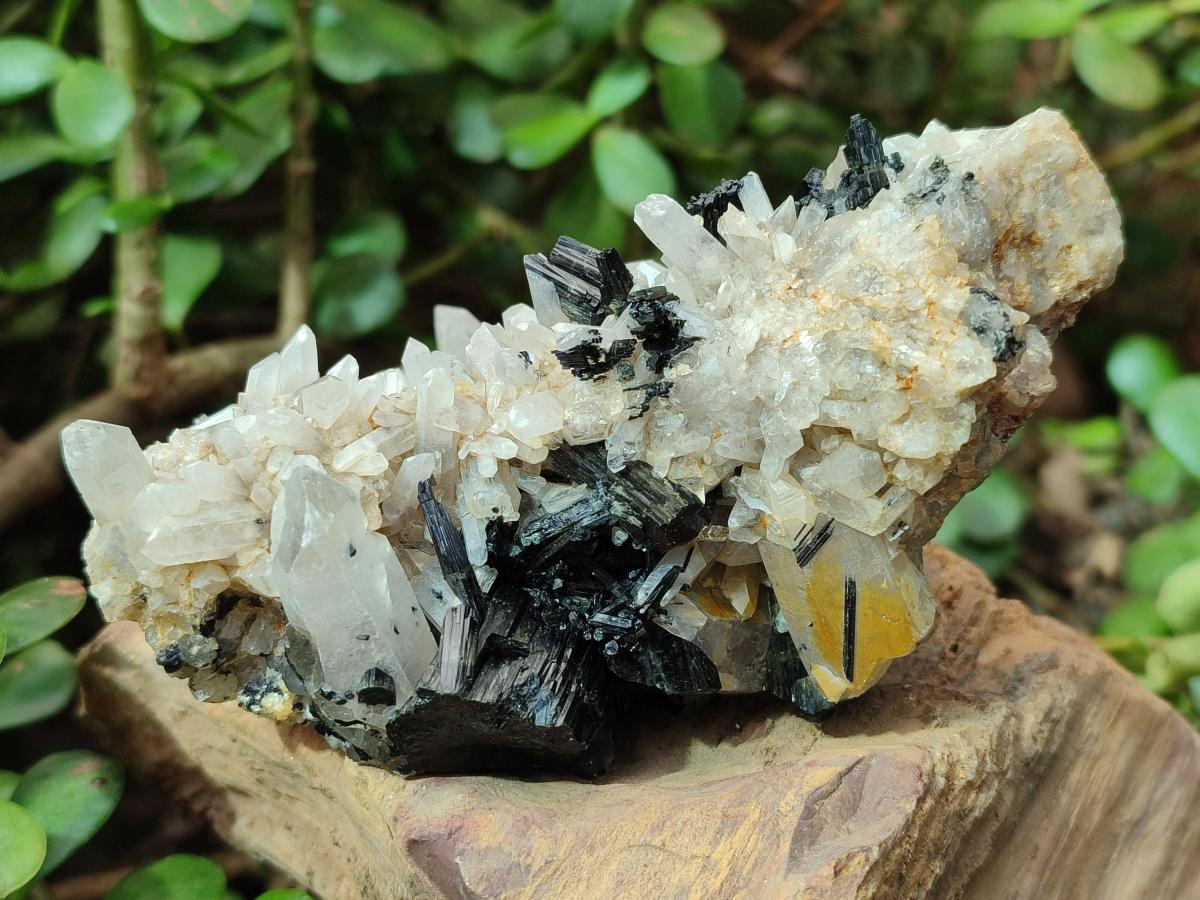 Natural Schorl Black Tourmaline with Associated Minerals x 8 From Erongo, Namibia