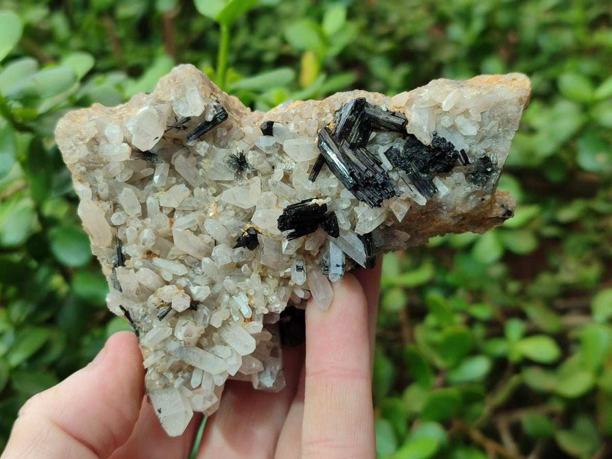 Natural Schorl Black Tourmaline with Associated Minerals x 8 From Erongo, Namibia