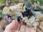 Natural Schorl Black Tourmaline with Associated Minerals x 8 From Erongo, Namibia