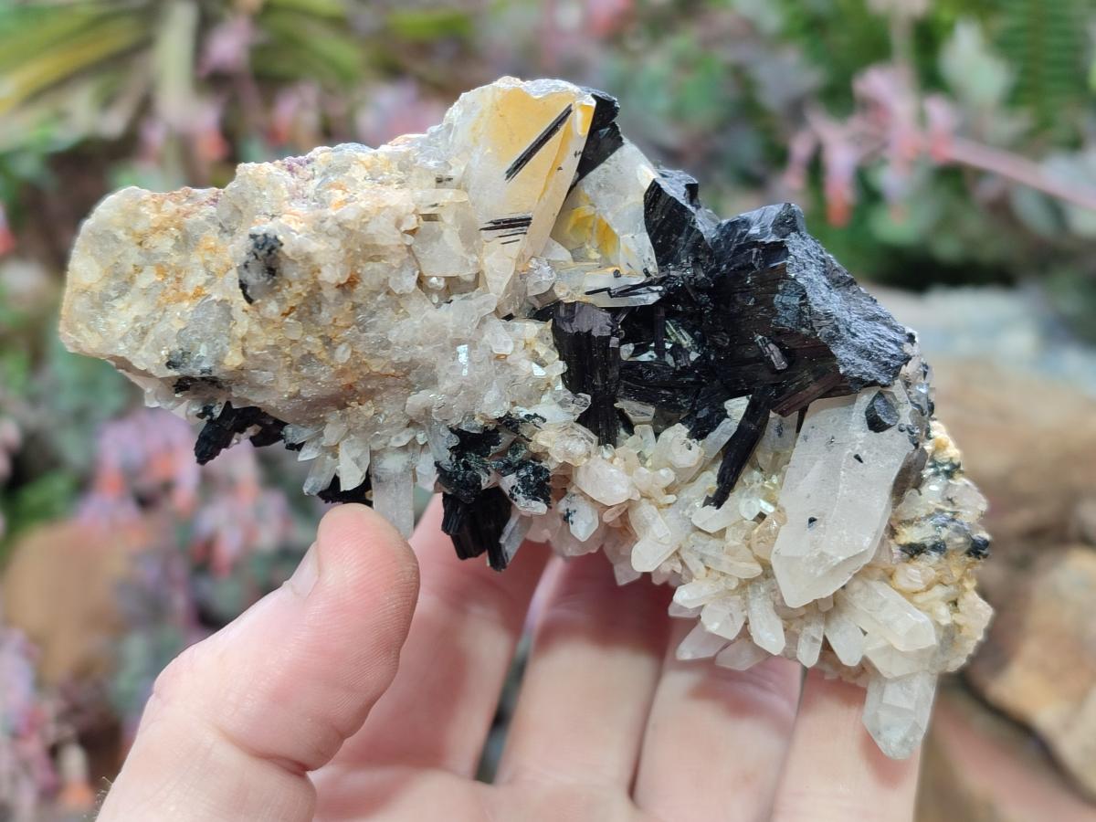 Natural Schorl Black Tourmaline with Associated Minerals x 8 From Erongo, Namibia
