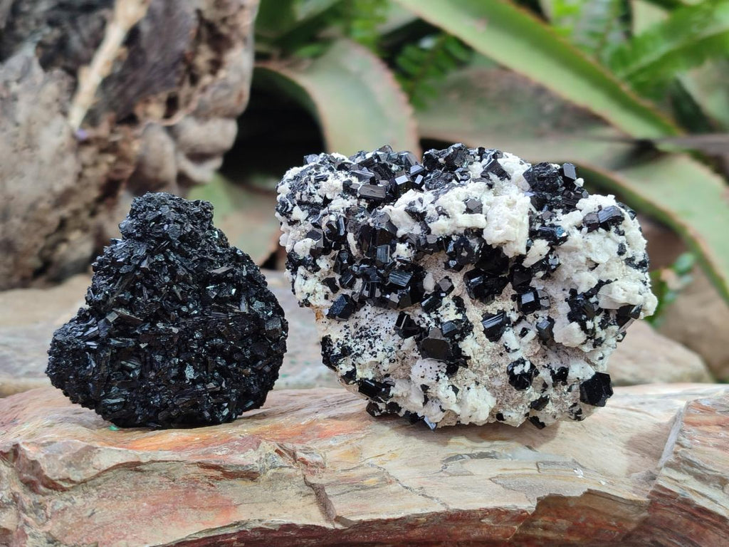 Natural Schorl Black Tourmaline with Associated Minerals x 8 From Erongo, Namibia