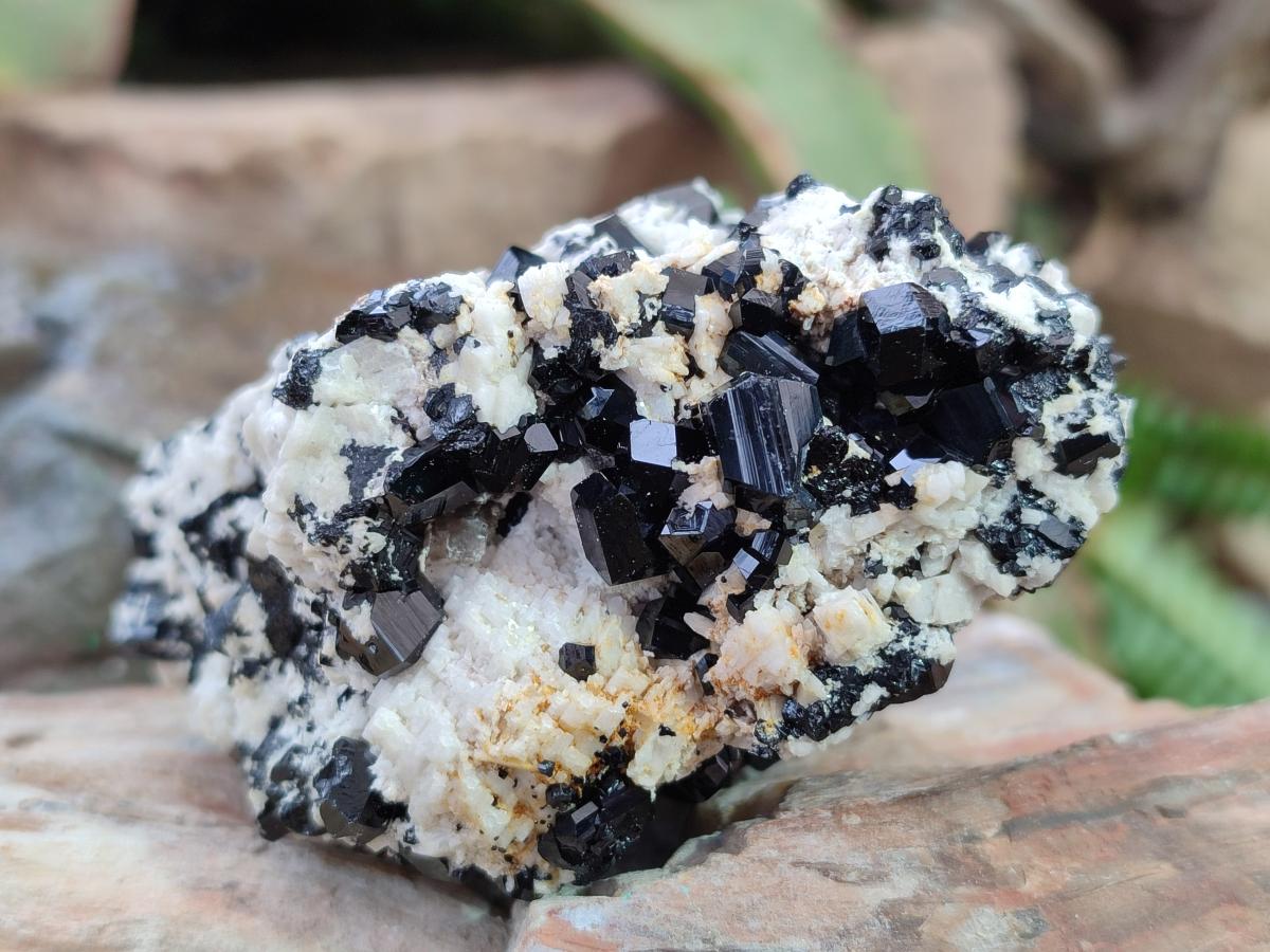 Natural Schorl Black Tourmaline with Associated Minerals x 8 From Erongo, Namibia