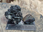 Natural Schorl Black Tourmaline with Associated Minerals x 8 From Erongo, Namibia