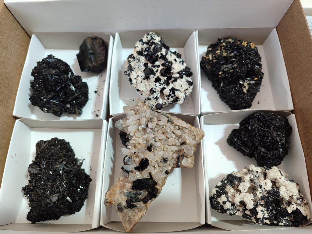 Natural Schorl Black Tourmaline with Associated Minerals x 8 From Erongo, Namibia