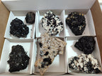 Natural Schorl Black Tourmaline with Associated Minerals x 8 From Erongo, Namibia