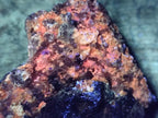 Natural Schorl Black Tourmaline with Associated Minerals x 8 From Erongo, Namibia