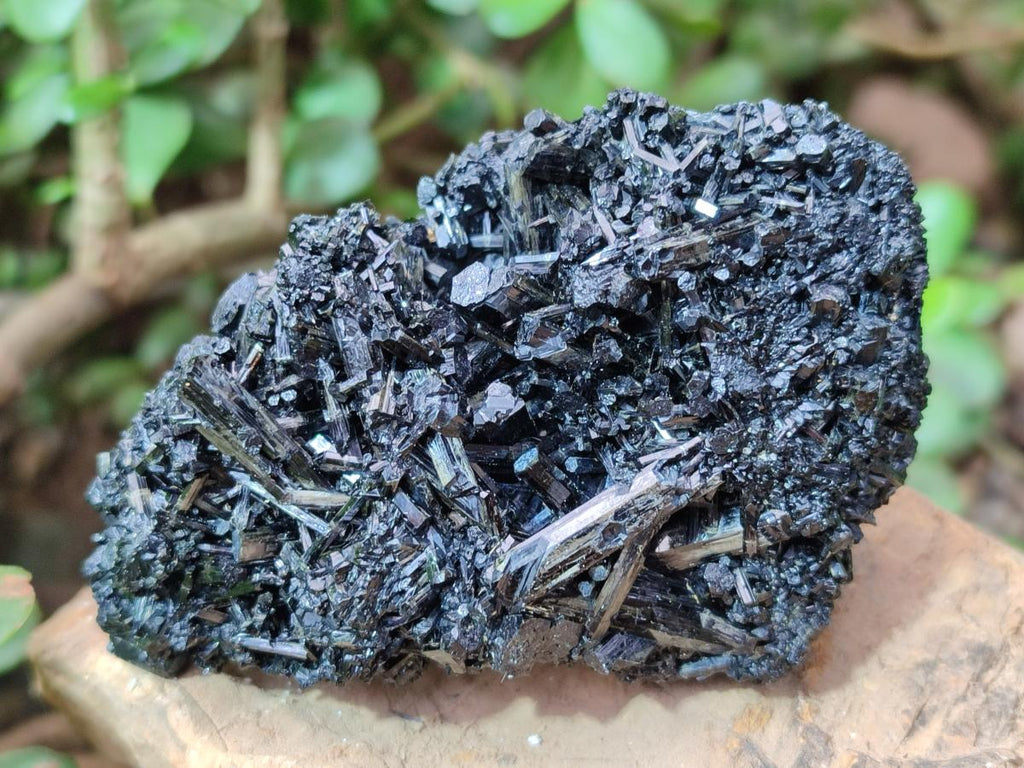 Natural Schorl Black Tourmaline with Associated Minerals x 8 From Erongo, Namibia