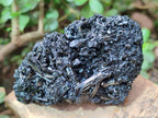 Natural Schorl Black Tourmaline with Associated Minerals x 8 From Erongo, Namibia
