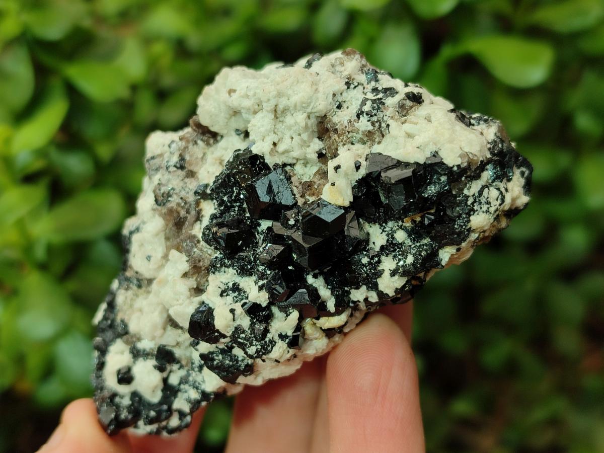 Natural Schorl Black Tourmaline with Associated Minerals x 8 From Erongo, Namibia