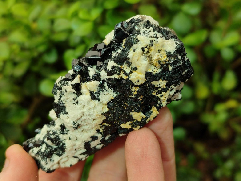 Natural Schorl Black Tourmaline with Associated Minerals x 8 From Erongo, Namibia