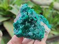 Natural Dioptase Specimens on Dolomite Matrix x 6 From Tantara Mine, Congo