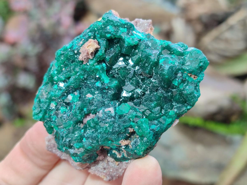 Natural Dioptase Specimens on Dolomite Matrix x 6 From Tantara Mine, Congo