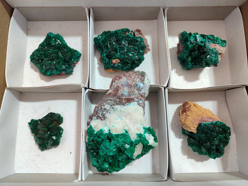 Natural Dioptase Specimens on Dolomite Matrix x 6 From Tantara Mine, Congo