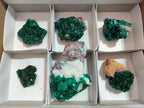 Natural Dioptase Specimens on Dolomite Matrix x 6 From Tantara Mine, Congo