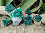 Natural Dioptase Specimens on Dolomite Matrix x 6 From Tantara Mine, Congo