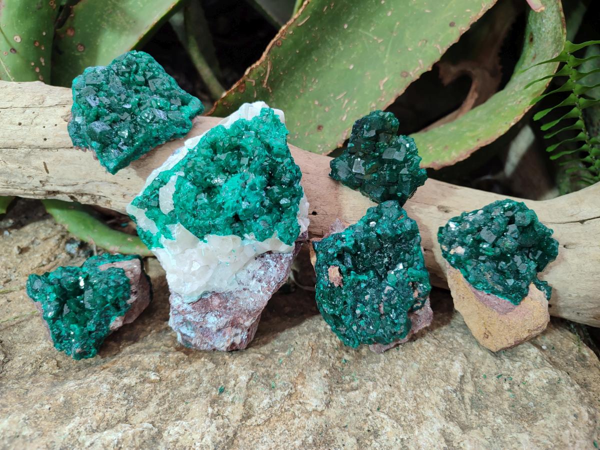 Natural Dioptase Specimens on Dolomite Matrix x 6 From Tantara Mine, Congo