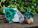 Natural Dioptase Specimens on Dolomite Matrix x 6 From Tantara Mine, Congo