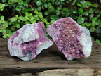 Natural Cabinet Size Spherocobaltite Specimens x 2 From Musonoi Mine, Congo
